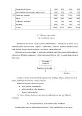 Verslo planas: medaus, bičių piko, bičių duonelės ir žiedadulkių gamyba "Bičiuolis" 15 puslapis