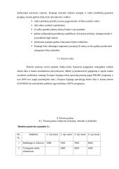 Verslo planas: medaus, bičių piko, bičių duonelės ir žiedadulkių gamyba "Bičiuolis" 17 puslapis
