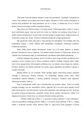 Verslo planas: medaus, bičių piko, bičių duonelės ir žiedadulkių gamyba "Bičiuolis" 4 puslapis