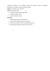 Verslo planas: medaus, bičių piko, bičių duonelės ir žiedadulkių gamyba "Bičiuolis" 5 puslapis