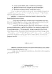 Verslo planas: medaus, bičių piko, bičių duonelės ir žiedadulkių gamyba "Bičiuolis" 10 puslapis
