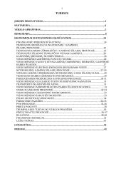 Verslo planas: mediniai apdailos gaminiai UAB "Vaidata" 2 puslapis