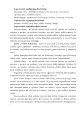 Verslo planas: mediniai apdailos gaminiai UAB "Vaidata" 14 puslapis