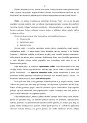 Verslo planas: mediniai apdailos gaminiai UAB "Vaidata" 15 puslapis