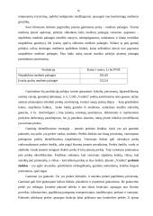 Verslo planas: mediniai apdailos gaminiai UAB "Vaidata" 16 puslapis