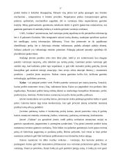 Verslo planas: mediniai apdailos gaminiai UAB "Vaidata" 17 puslapis