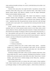 Verslo planas: mediniai apdailos gaminiai UAB "Vaidata" 18 puslapis