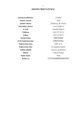 Verslo planas: mediniai apdailos gaminiai UAB "Vaidata" 3 puslapis