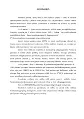 Verslo planas: mediniai apdailos gaminiai UAB "Vaidata" 4 puslapis