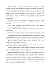 Verslo planas: mediniai apdailos gaminiai UAB "Vaidata" 8 puslapis