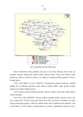 Verslo planas: mediniai apdailos gaminiai UAB "Vaidata" 10 puslapis