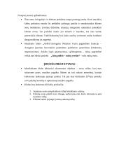 Verslo planas: muzikinis klubas "AMFa" 2 puslapis