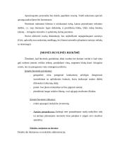 Verslo planas: muzikinis klubas "AMFa" 4 puslapis