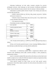 Verslo planas: muzikinis klubas UAB "Tornado" 2 puslapis