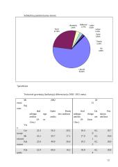 Verslo planas: muzikinis klubas UAB "Tornado" 12 puslapis