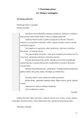 Verslo planas: muzikinis klubas UAB "Tornado" 17 puslapis