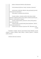 Verslo planas: muzikinis klubas UAB "Tornado" 18 puslapis