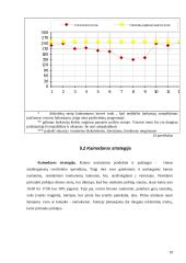 Verslo planas: muzikinis klubas UAB "Tornado" 19 puslapis