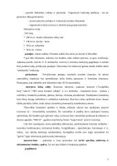 Verslo planas: muzikinis klubas UAB "Tornado" 5 puslapis