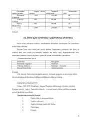 Verslo planas: muzikinis klubas UAB "Tornado" 8 puslapis