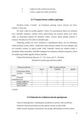 Verslo planas: muzikinis klubas UAB "Tornado" 9 puslapis