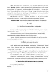 Verslo planas: muzikinis klubas UAB "Tornado" 10 puslapis