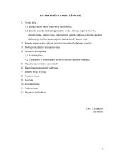 Verslo planas: naktinis klubas IĮ "Schock" 2 puslapis