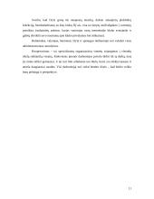 Verslo planas: naktinis klubas IĮ "Schock" 11 puslapis