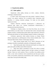 Verslo planas: naktinis klubas IĮ "Schock" 12 puslapis