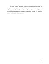 Verslo planas: naktinis klubas IĮ "Schock" 14 puslapis