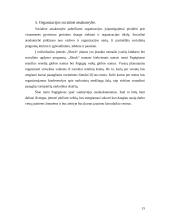 Verslo planas: naktinis klubas IĮ "Schock" 15 puslapis