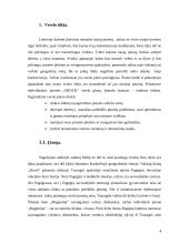 Verslo planas: naktinis klubas IĮ "Schock" 4 puslapis