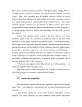 Verslo planas: naktinis klubas IĮ "Schock" 5 puslapis