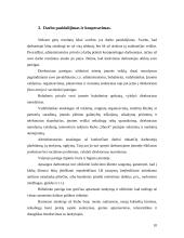 Verslo planas: naktinis klubas IĮ "Schock" 10 puslapis