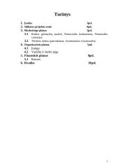 Verslo planas: pyragų kepykla IĮ "Nėga" 2 puslapis