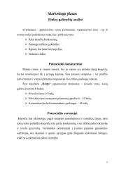 Verslo planas: pyragų kepykla IĮ "Nėga" 5 puslapis