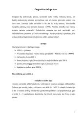 Verslo planas: pyragų kepykla IĮ "Nėga" 7 puslapis