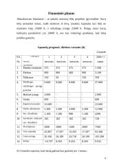 Verslo planas: pyragų kepykla IĮ "Nėga" 8 puslapis