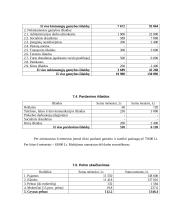 Verslo planas: plastikinių langų montavimas IĮ "Lūna" 11 puslapis
