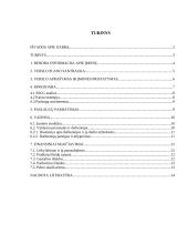 Verslo planas: plastikinių langų montavimas IĮ "Lūna"