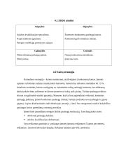 Verslo planas: plastikinių langų montavimas IĮ "Lūna" 6 puslapis