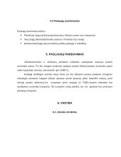 Verslo planas: plastikinių langų montavimas IĮ "Lūna" 7 puslapis