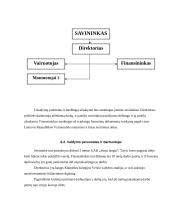 Verslo planas: plastikinių langų montavimas IĮ "Lūna" 8 puslapis