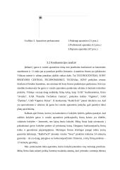 Verslo planas: prekyba garso ir vaizdo aparatūra UAB "RadioTech" 13 puslapis