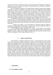 Verslo planas: prekyba kompiuterine technika ŪB "Galingiausi kompiuteriai" 3 puslapis