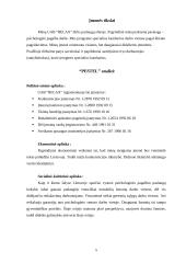 Verslo planas: psichologinė pagalba darbe IĮ "Relax" 5 puslapis