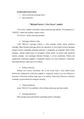 Verslo planas: psichologinė pagalba darbe IĮ "Relax" 7 puslapis