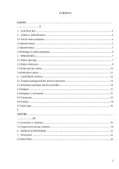 Verslo planas: soliariumo paslaugos UAB "Saulutė" 2 puslapis