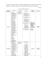 Verslo planas: soliariumo paslaugos UAB "Saulutė" 11 puslapis