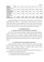 Verslo planas: soliariumo paslaugos UAB "Saulutė" 14 puslapis